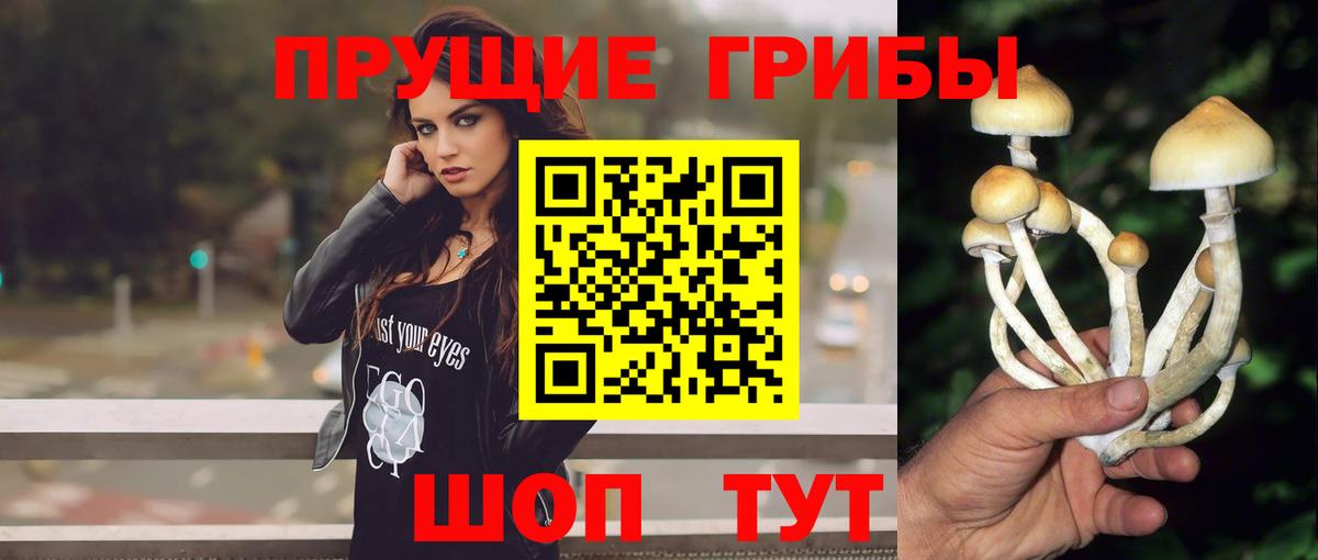 Псилоцибиновые грибы GOLDEN TEACHER Сургут