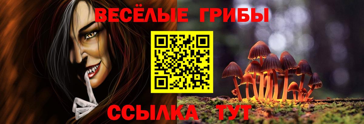 Псилоцибиновые грибы мицелий  Вход с VPN  Сургут  купить   Галлюциногенные грибы мицелий 